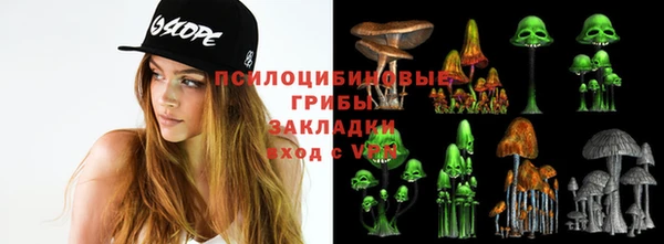 бошки Аркадак