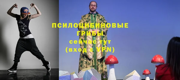 бошки Аркадак