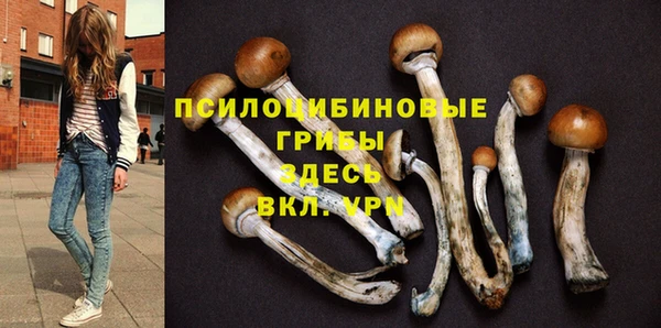 ALPHA PVP Армянск