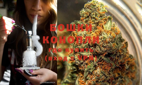 бошки Аркадак