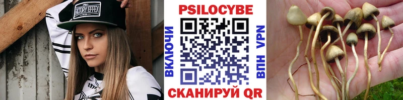 Галлюциногенные грибы ЛСД mega онион Райчихинск наркотики